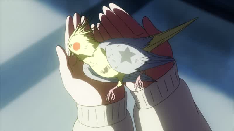T-Touka-chan?