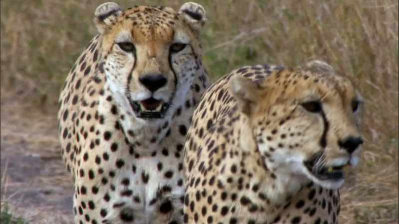 Take 3. [ Clapboard snaps ]