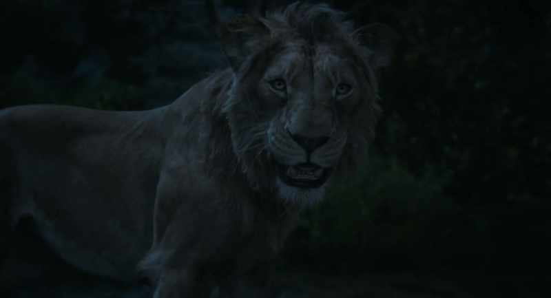 Take a good look. I am a lion