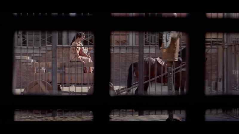 Take a last look, Spartacus