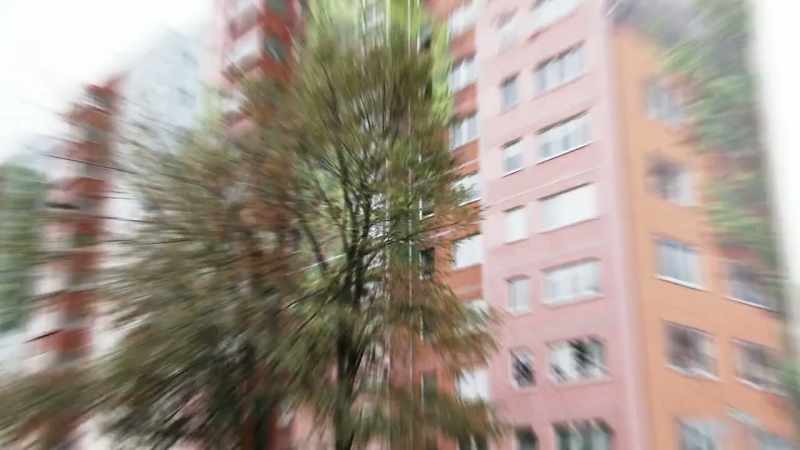 Take this building on a street called am tierpark