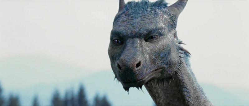 Take care of him, Saphira