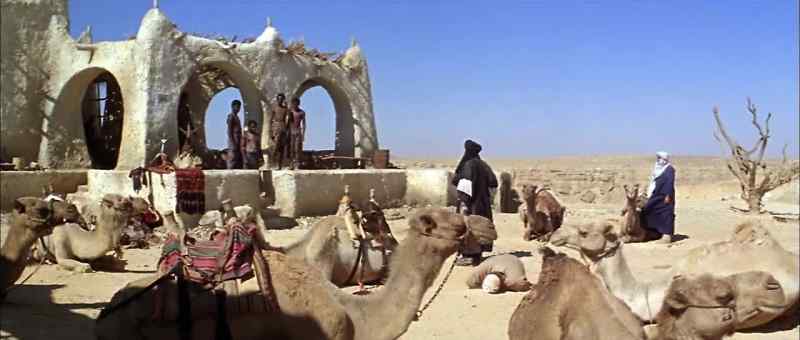 Take these camels! They're yours!