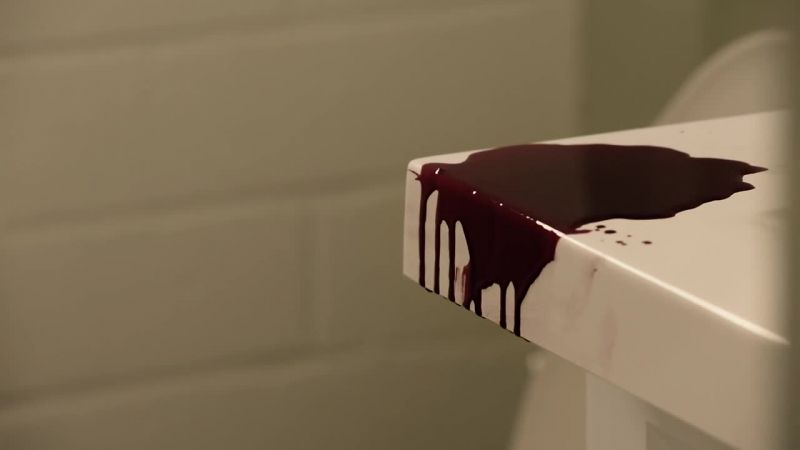 TANI: If Carter was killed in the car, then whose blood is that?