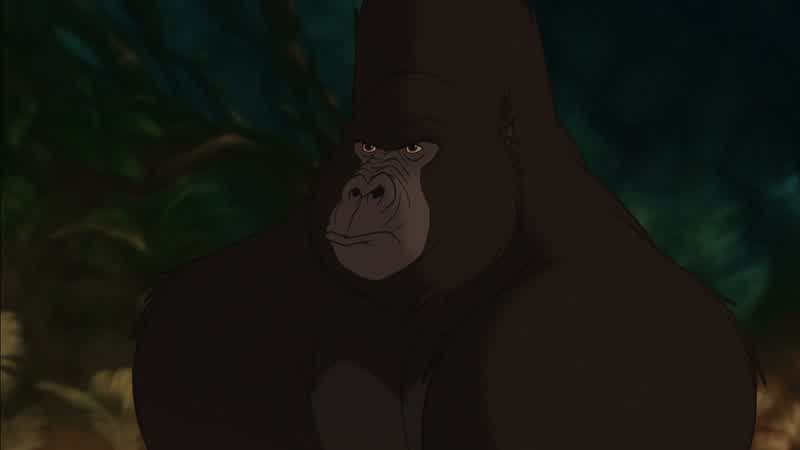 Tarzan buddy Buddy come on Tarzan don't die on meDon't die on me You weren't supposed to do itGet away from there Don't you know a piranha can strip your flesh in secondsWhat He's not a piranha