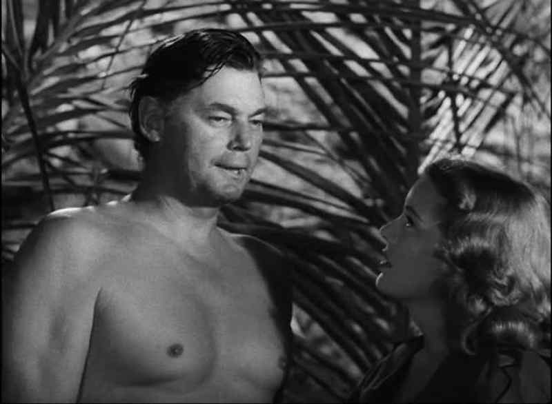 Tarzan, I wish you hadn't promised