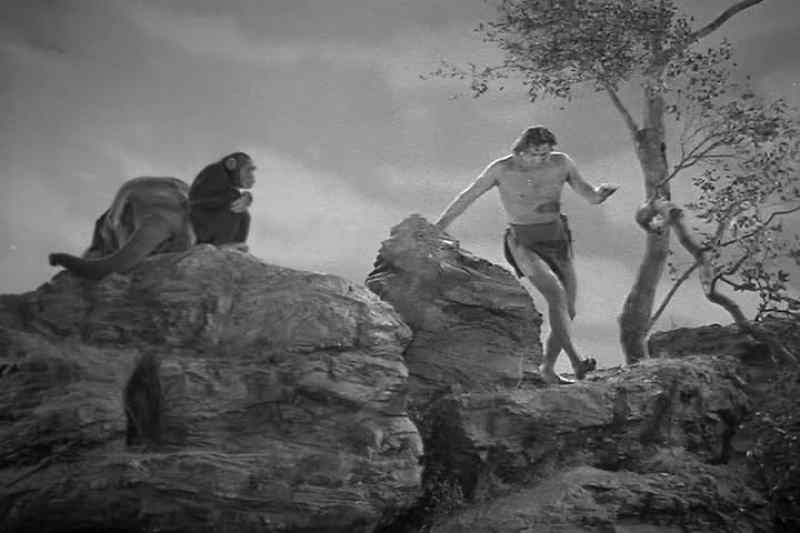 Tarzan!