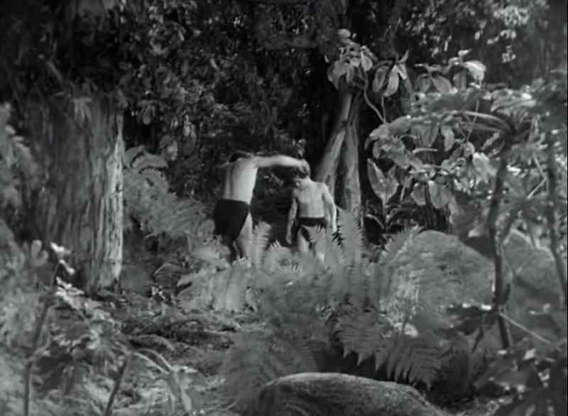 Tarzan