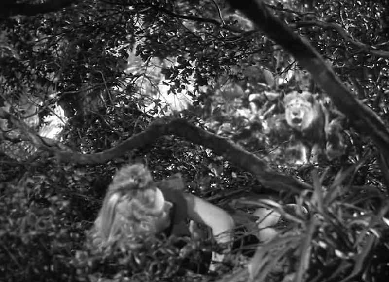Tarzan!
