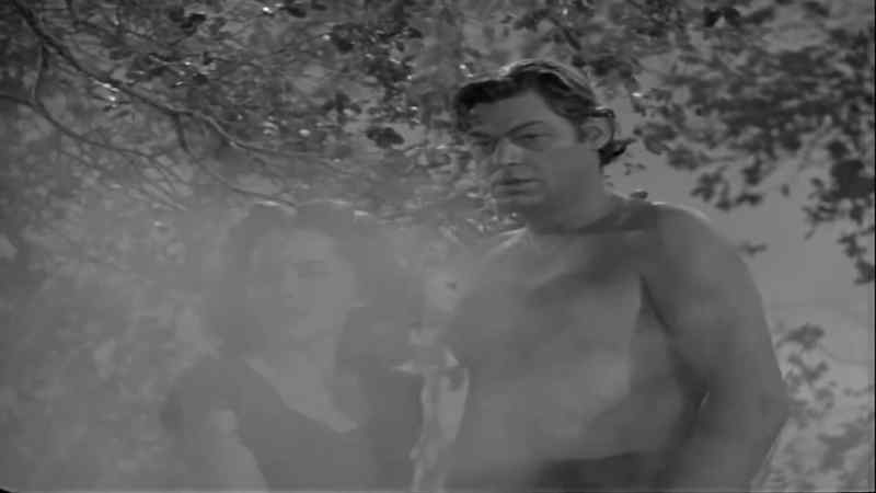 Tarzan