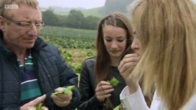 'Tasting that lettuce fresh from the field, and it was so flavoursome