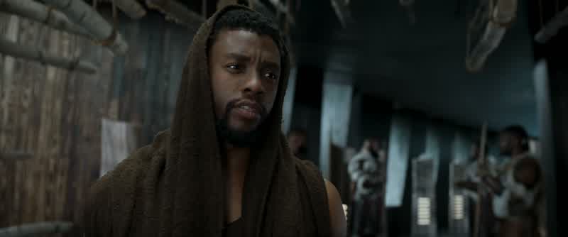 T'Challa, we will not leave Wakanda