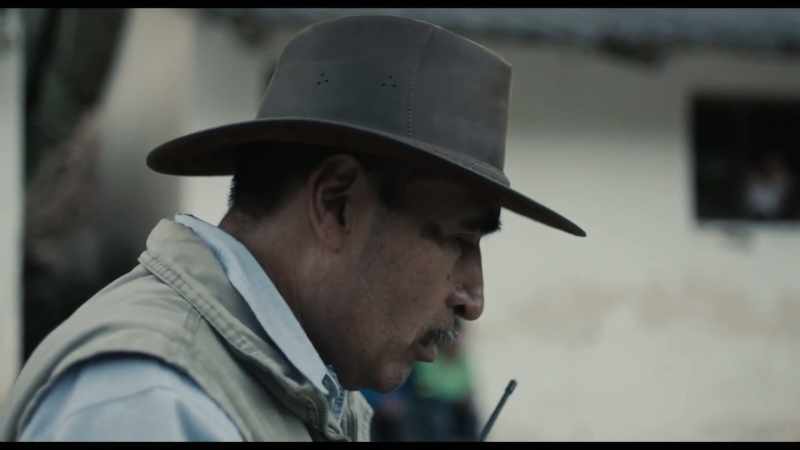 Teacher Javier, did you hear me?