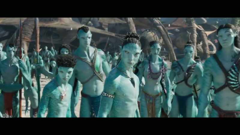 Team Avatar conducted an extensive search