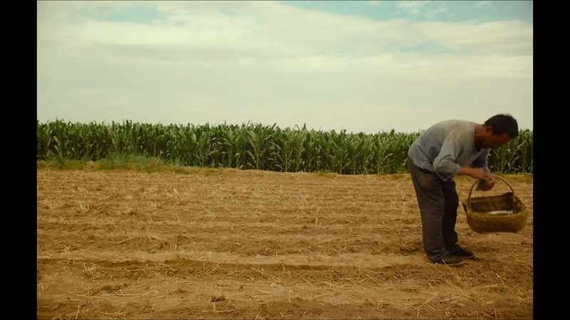 Tell me, how can a peasant live without land?