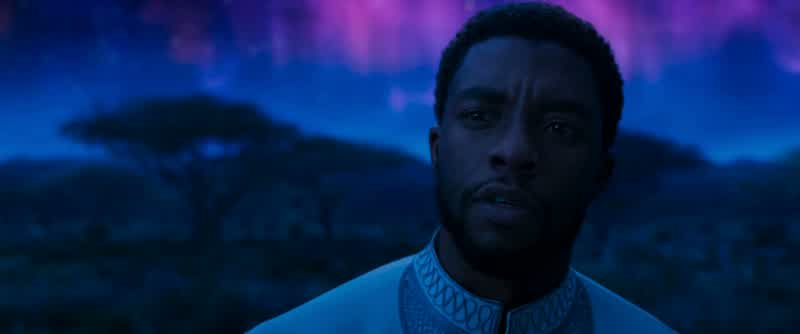 Tell me how to best protect Wakanda