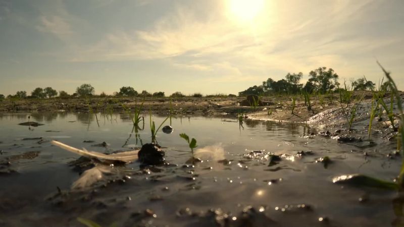Temperatures soar