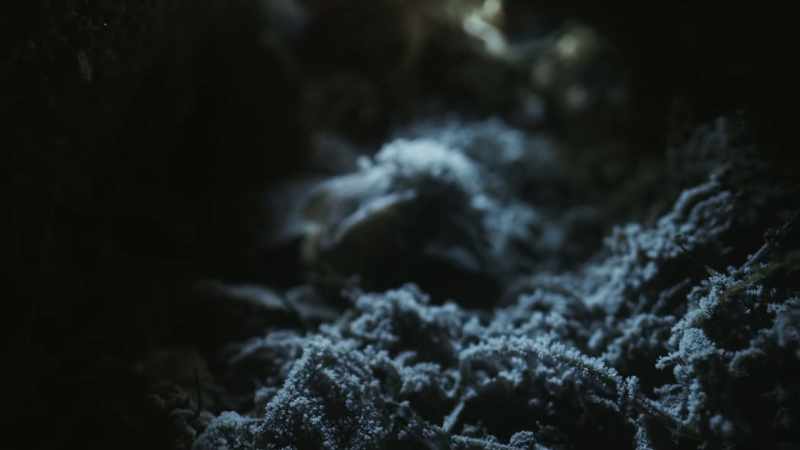Ten centimetres beneath the surface of the ground