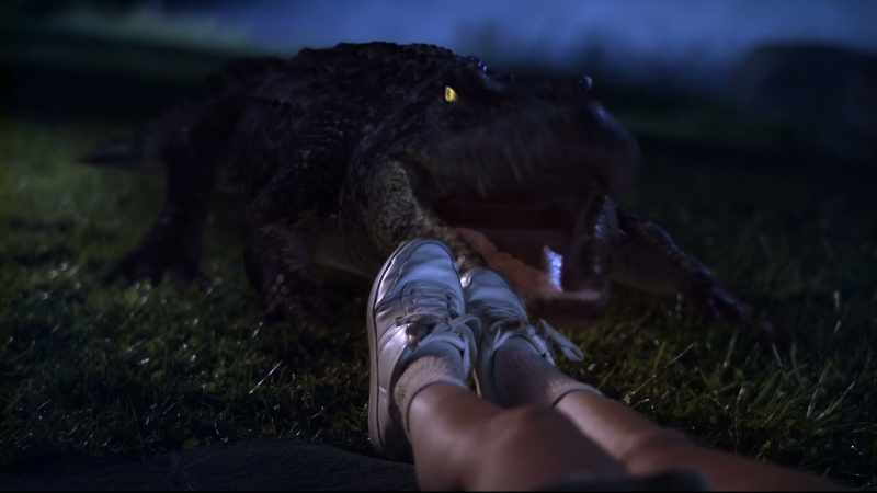 [tense music] [alligator roars]