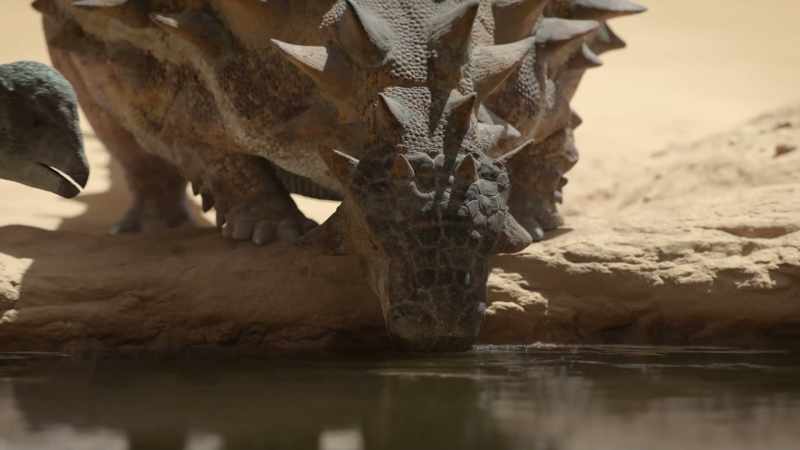 Tensions often run high around an oasis