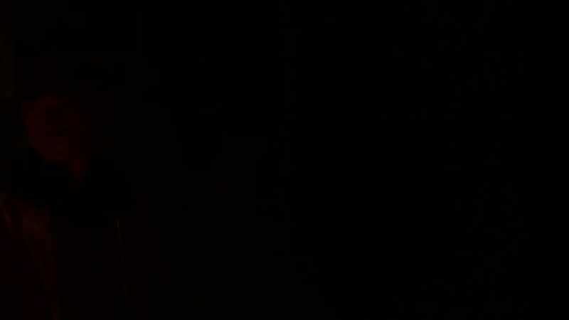 �� TERRIBLE SIGNAL ♪