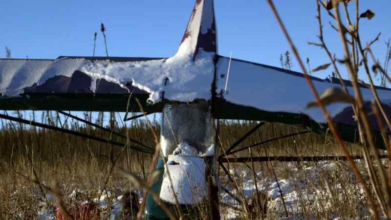 Terwilliger: IF HE'D HAVE WENT INTO THE FULL-GROWTH TREES