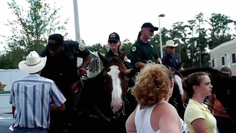 TEXAS EQUUSEARCH IS AN ORGANIZATION