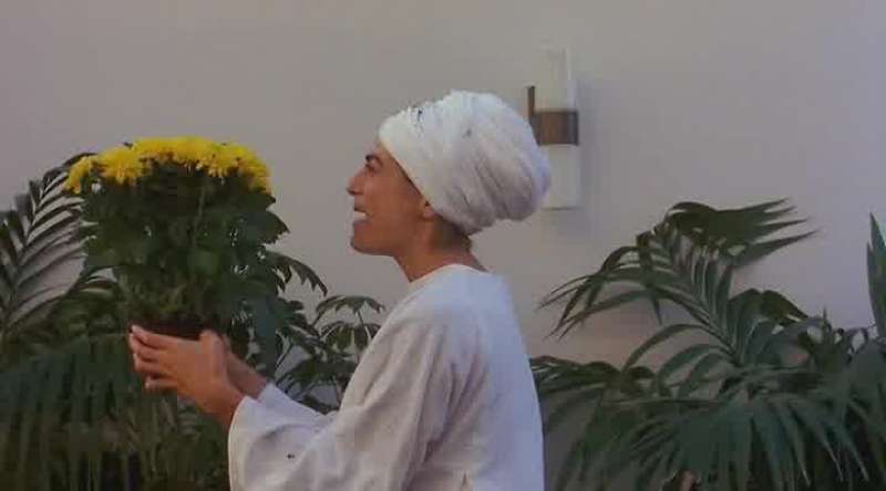Thank you Baba Rama Nana