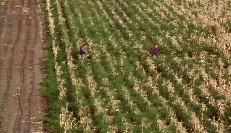 Thank God l'm a country boy Cuttin' some corn Cuttin' some corn
