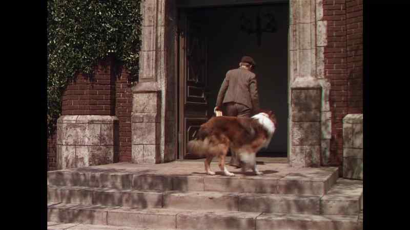Thank you, Lassie