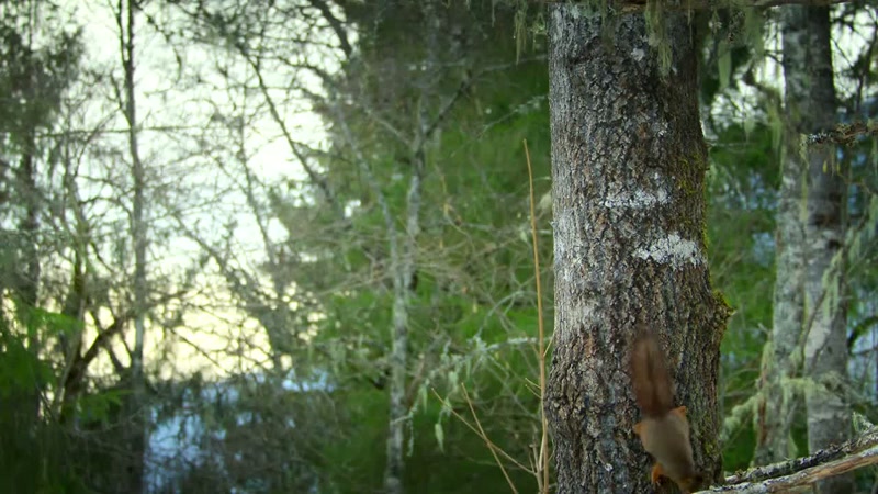 'Thankfully, he's, well, squirreled away