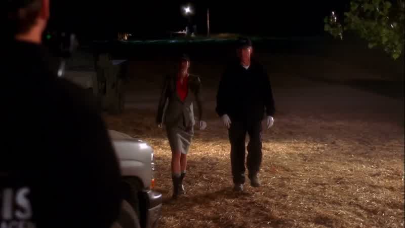 Thanks, Dinozzo