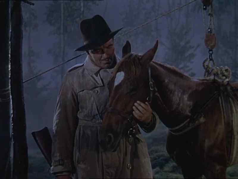 Thanks, Flicka