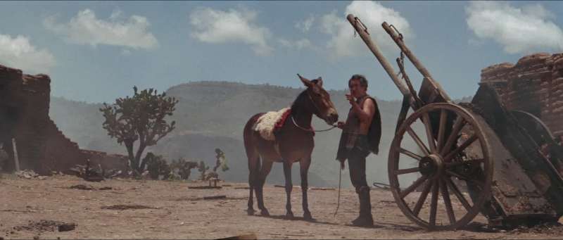 Thanks for the mule old man