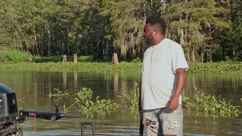 That was a big-ass gator