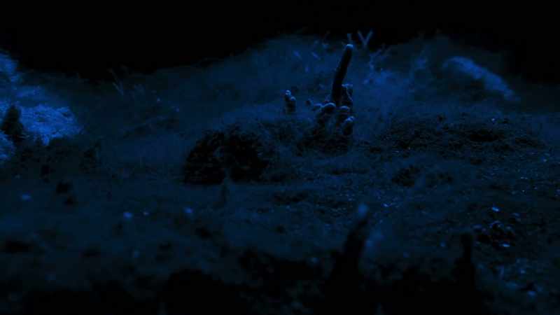 That, at night