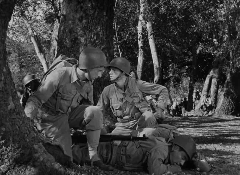 That was close, Sergeant. That was close. - Leave him alone
