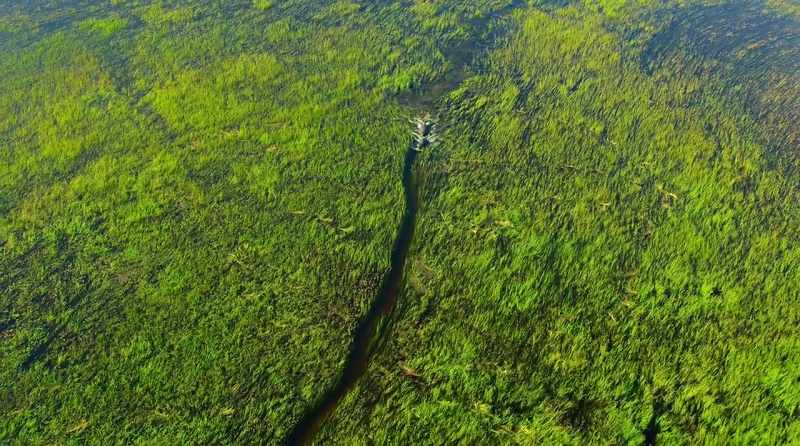 that connect rivers to pools and pools to floodplains…