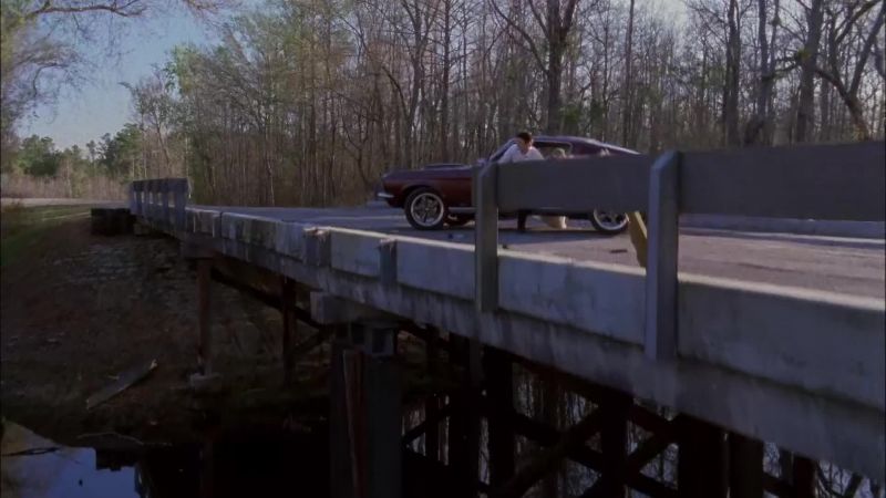 That was Cooper. Cooper! - Cooper!