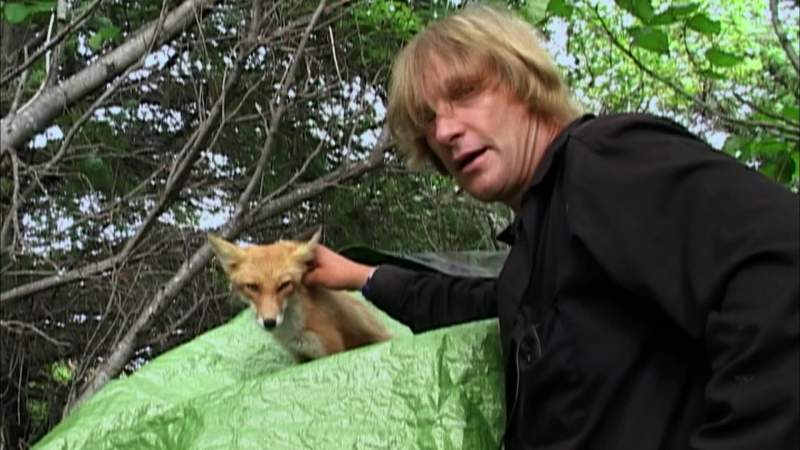 That has developed between this very wild animal and this very