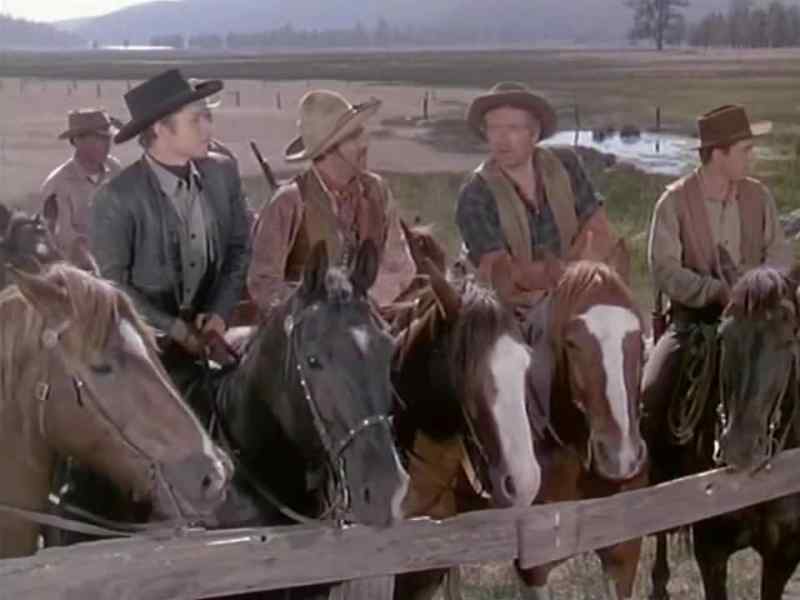 That doesn't seem be our cattle
