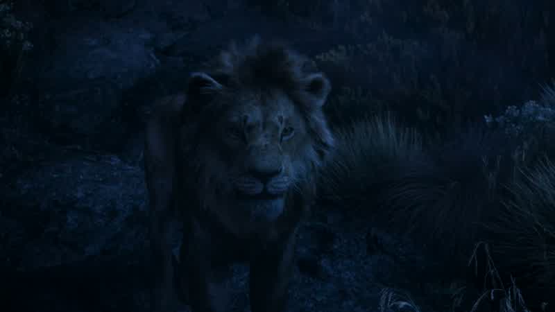 As king I was most proud of one thingHaving you as my sonThat was a long time agoNo Simba That is forever