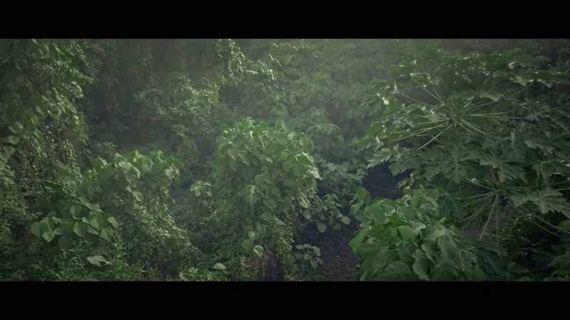 That girl is always wandering here in the forest