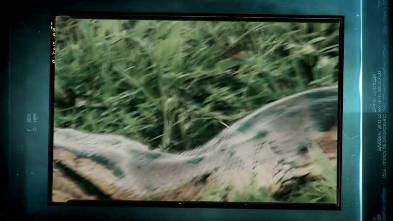 THAT IS FOUND HERE IN PERU