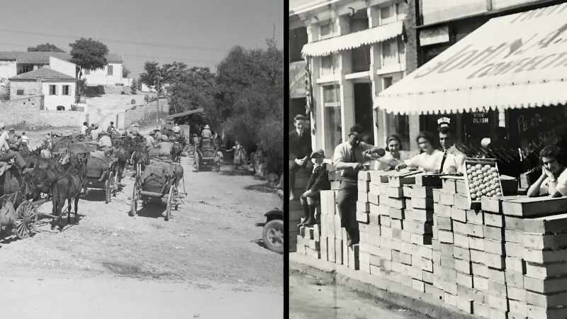 That Levantine ethic emphasizes independence