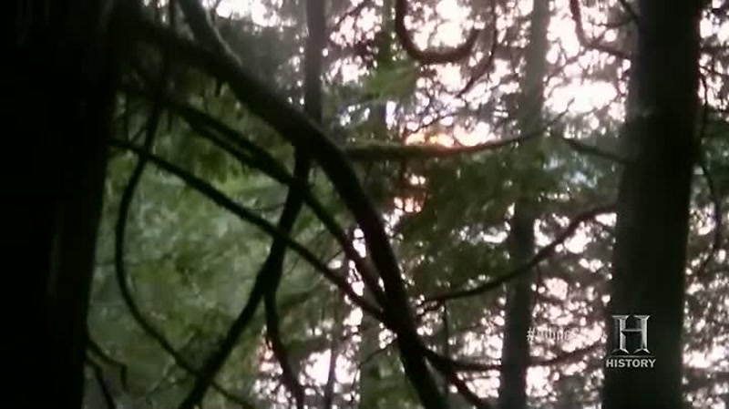 That little lean-to's gonna be great