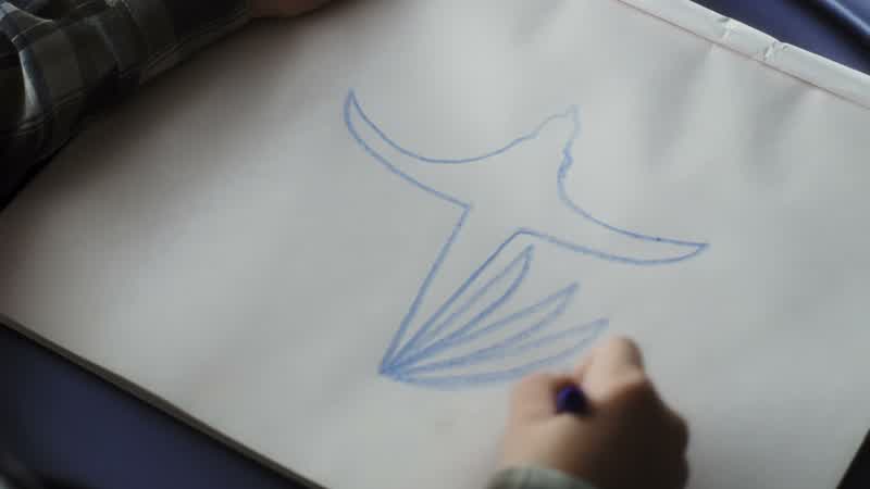 That looks like a peacock