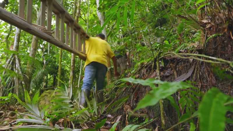 THAT MEANS TREKKING DEEPER INTO THE RAINFOREST