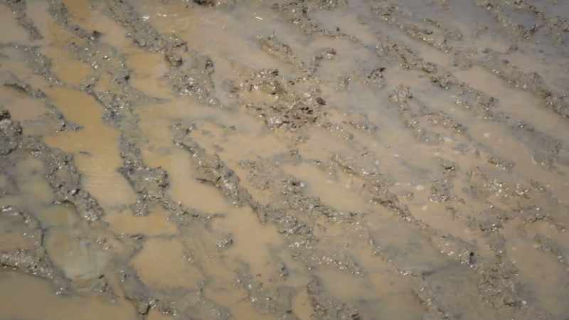 That mudflat, it's just a really extreme environment to work