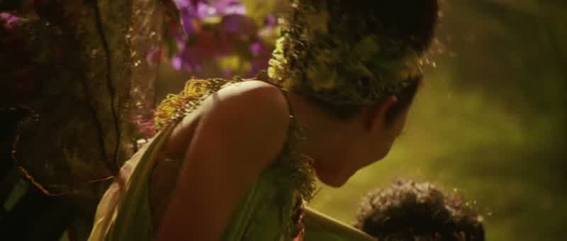 That is Neverland